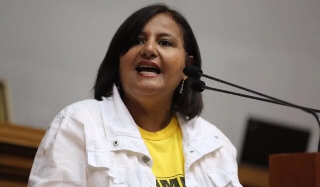 Dinorah Figuera afirma que continuidad de la AN-2015 está en debate