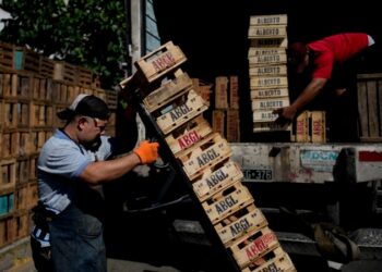 Latinoamérica despide 2023 con desaceleración económica y magras perspectivas para 2024