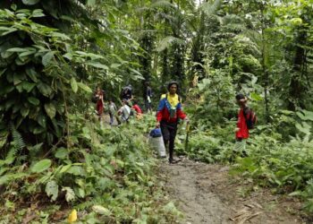 Casi 500 mil migrantes, incluidos venezolanos, han cruzado el Darién en 2023