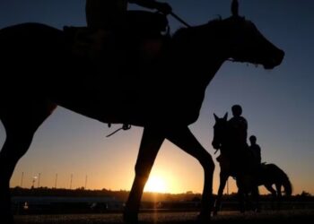 Confirman primer caso humano de encefalomielitis equina en Argentina