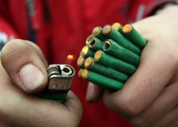 Toma nota: así de mortales pueden ser los fuegos artificiales para tu mascota