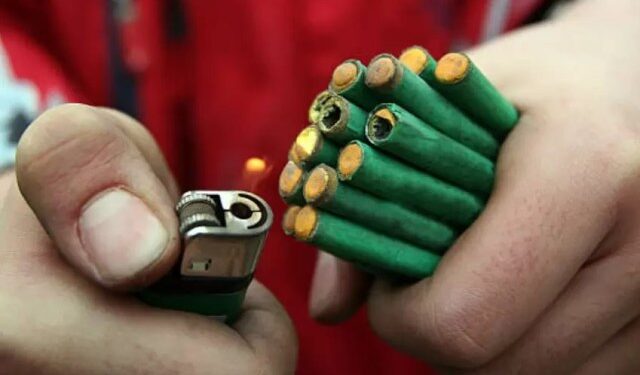 Toma nota: así de mortales pueden ser los fuegos artificiales para tu mascota