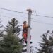 VIDEO salvaje: Gato intrépido da un gran salto desde un poste de electricidad para escapar de su posible héroe