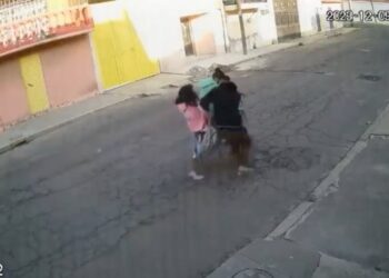 A “bolsazos”, una mujer impidió el secuestro de su hija (VIDEO)