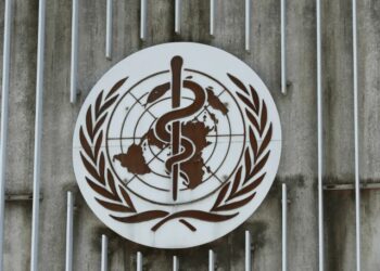 OMS asegura que la entrada de Ucrania a la UE sería “positiva”