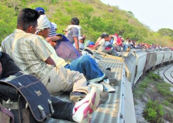 Odisea sobre rieles: Migrantes venezolanos arriesgan sus vidas en “La Bestia” para llegar a EEUU (VIDEO)
