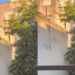 Notó algo extraño desde el balcón de su apartamento, salió a investigar y quedó sorprendido (VIDEO)