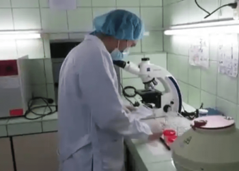 Deficit of public clinical laboratories exceeds 85 % in Nueva Esparta in eastern Venezuela