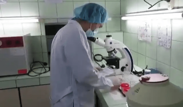 Deficit of public clinical laboratories exceeds 85 % in Nueva Esparta in eastern Venezuela