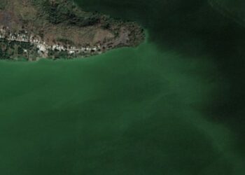 Venezuela: Aguas contaminadas ponen en riesgo el medio ambiente y la salud humana