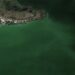 Venezuela: Aguas contaminadas ponen en riesgo el medio ambiente y la salud humana