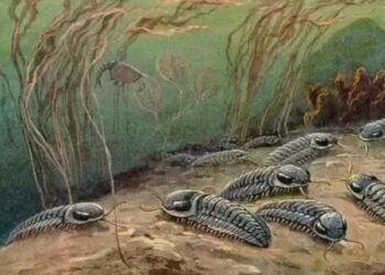 Descubren criaturas extintas tan antiguas que desafían todo lo que se conoce sobre evolución