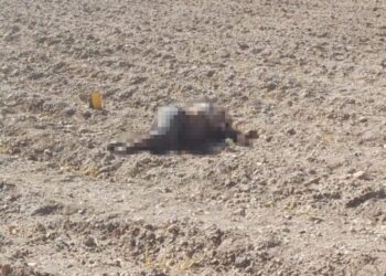 Encuentran restos de una venezolana desaparecida hace un mes en la frontera entre Bolivia y  Chile