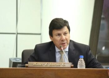 Avioneta donde murió diputado Paraguayo Walter Harms, salió de una pista no habilitada