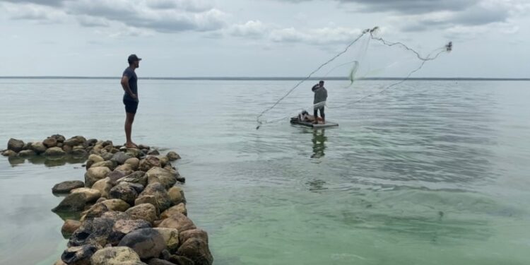 Crece la preocupación por derrames petroleros en Venezuela mientras persiste la desinformación oficial