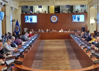 Consejo Permanente de la OEA respalda a Noboa tras los hechos violentos en Ecuador