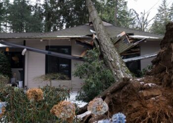 Tormenta de nieve azota noroeste de EE. UU.