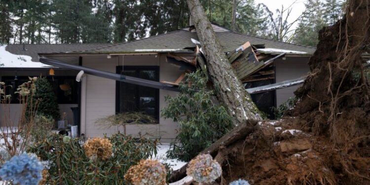 Tormenta de nieve azota noroeste de EE. UU.