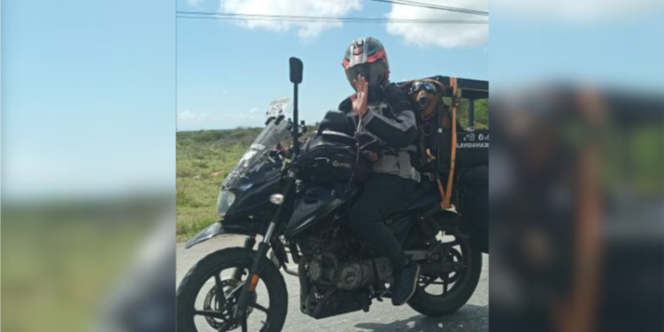 Gabriel y Tobby: un argentino y su perro recorren Venezuela en motocicleta