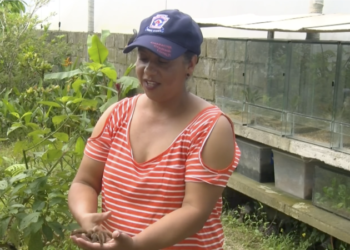 Centro de reproducción de especies silvestres en la Amazonía ecuatoriana busca fortalecer la conservación 