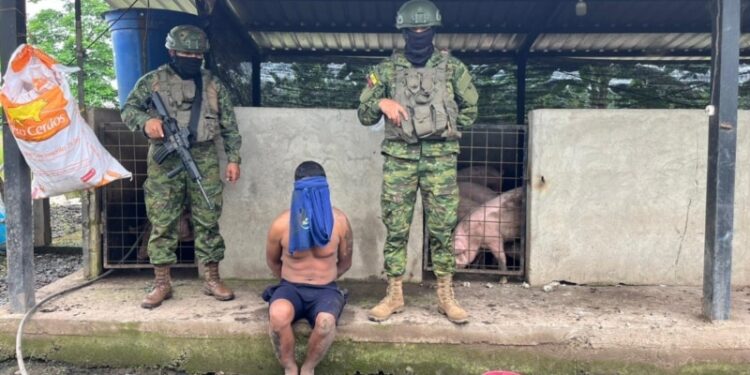 Fuerzas Armadas de Ecuador confiscan 22 toneladas de cocaína, incautación histórica