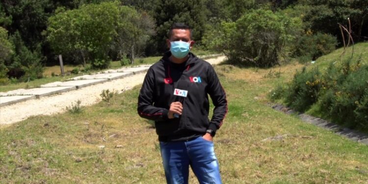 El Niño desata 34 incendios forestales en Colombia