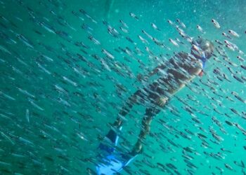 En fotos: Estas son las imágenes destacadas de la semana en América Latina