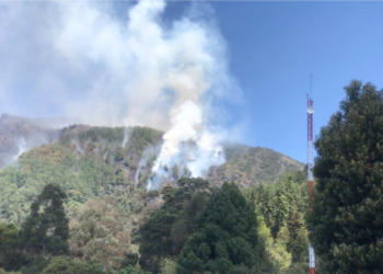 Colombia trata de controlar incendios forestales, Bogotá continúa en alerta por altas temperaturas