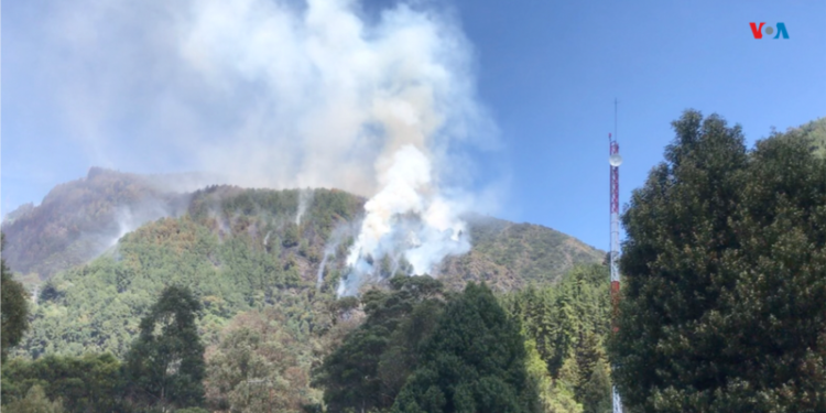 Colombia trata de controlar incendios forestales, Bogotá continúa en alerta por altas temperaturas