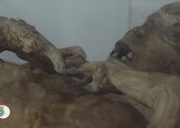 El pueblo de las momias: un municipio donde los difuntos se resisten a morir