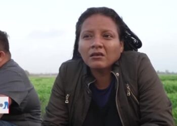 Aumenta número de migrantes que se entregan en la frontera sur de EEUU