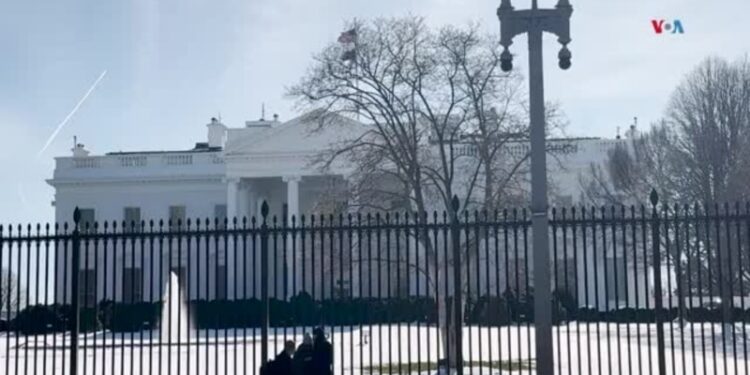 Biden amplía las protecciones para acceder al aborto y los contraceptivos en EEUU