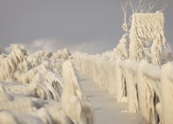 Mas de 100 millones de personas se ven afectadas en EEUU por el temporal ártico que recorre el país