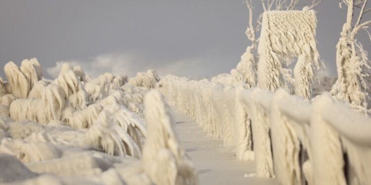 Mas de 100 millones de personas se ven afectadas en EEUU por el temporal ártico que recorre el país