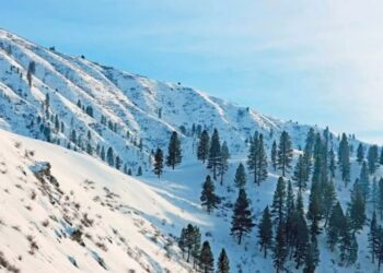 Emergencia en Idaho: Una avalancha enterró hasta la muerte a un hombre que practicaba esquí