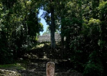 México reconoce que ciertas ruinas mayas son inaccesibles debido a la violencia