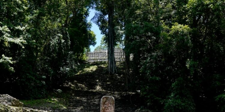México reconoce que ciertas ruinas mayas son inaccesibles debido a la violencia