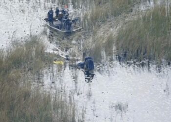 Tragedia en Broward: avioneta se partió por la mitad al estrellarse en los Everglades y dejó dos muertos