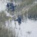 Tragedia en Broward: avioneta se partió por la mitad al estrellarse en los Everglades y dejó dos muertos