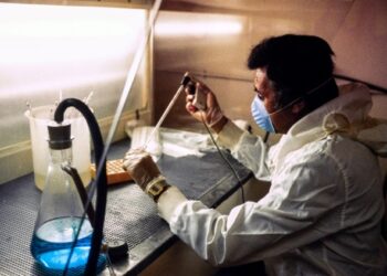 Tras siglos de misterio, investigadores de EEUU descubren por qué la orina es amarilla