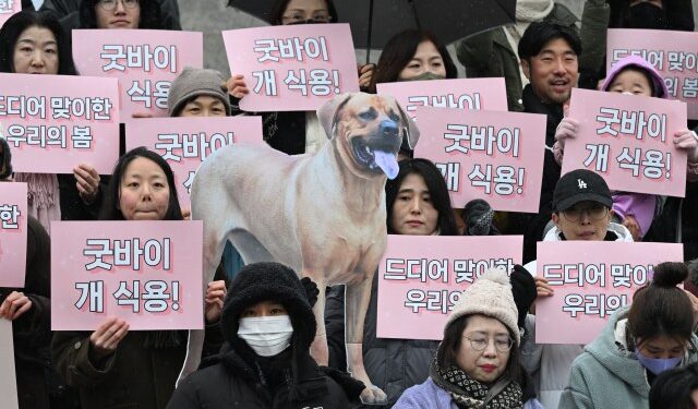 Parlamento de Corea del Sur prohíbe el comercio de carne de perro