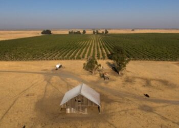 Multimillonarios presentan planes para una nueva ciudad tecnológica en California