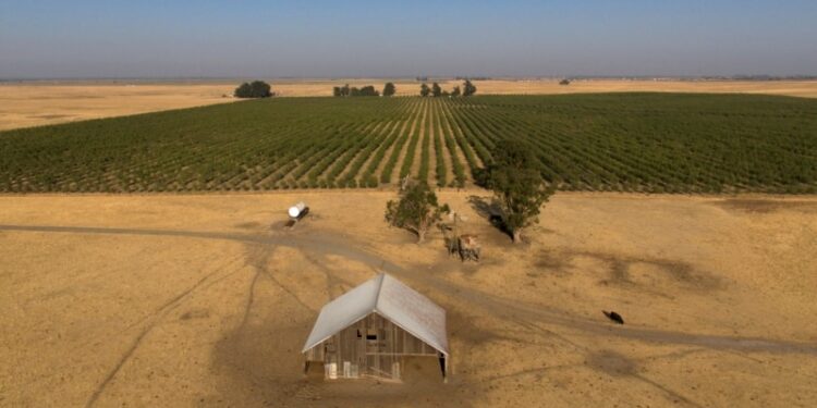 Multimillonarios presentan planes para una nueva ciudad tecnológica en California