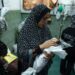 La tensión aumenta en Cisjordania mientras las operaciones militares de Israel se intensifican en el sur de la Franja de Gaza.