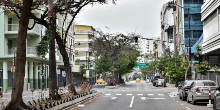 La SIP condena asalto a canal de televisión en Ecuador, piden protección para periodistas