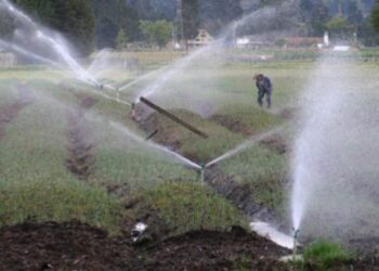 La nueva ley de California que afectará el manejo del agua
