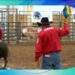 Visión 360: Rodeo Gay de Estados Unidos: expresión multicolor de talentos