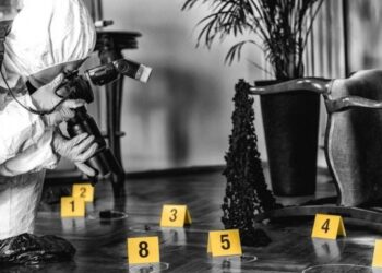 Dantesco hallazgo en Colorado: Encuentran una cabeza humana en un congelador tras comprar una casa