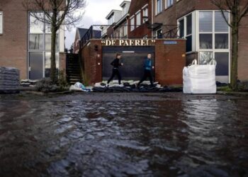 Árboles caídos y problemas de tráfico tras el paso de la tormenta Isha por Países Bajos