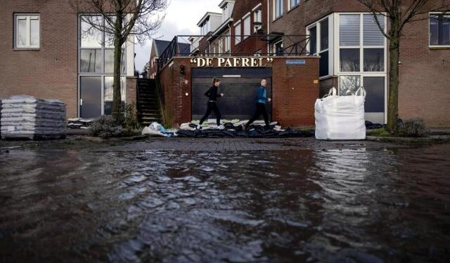 Árboles caídos y problemas de tráfico tras el paso de la tormenta Isha por Países Bajos